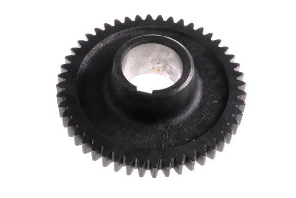 50819210.jpg
